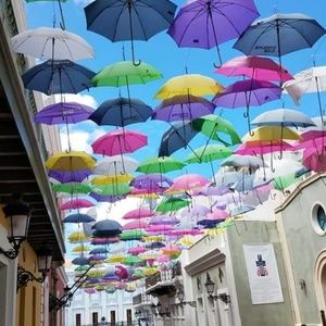 Meet your Posher, Roxana